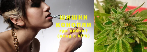 крисы Верея