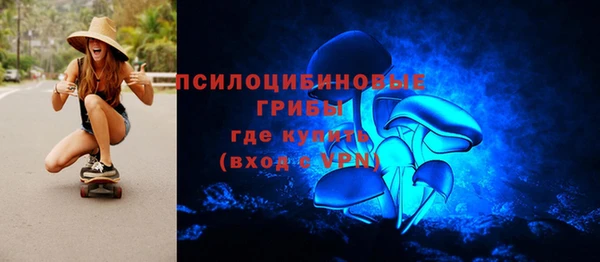 крисы Верея