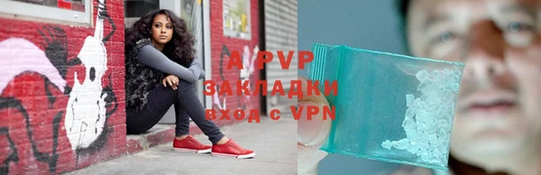 mdpv Бородино