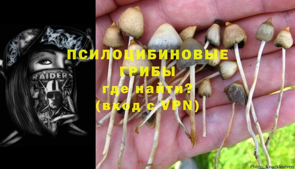 ALPHA PVP Верхний Тагил