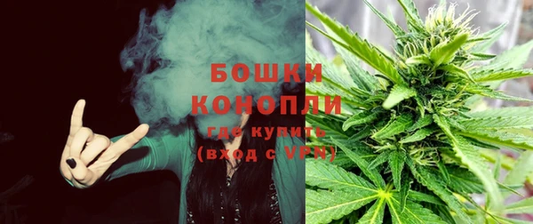 крисы Верея